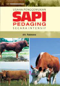 Usaha Penggemukan Sapi Pedaging