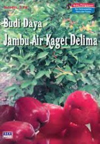 Budi Daya Jambu Air Kaget Delima