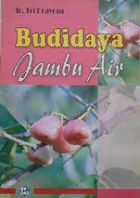 Budidaya Jambu Bol