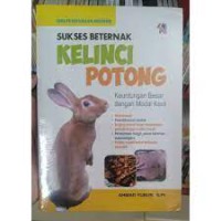 Sukses Beternak Kelinci Potong