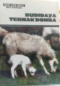 Budidaya ternak domba