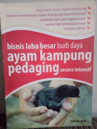 Bisnis laba besar budi daya ayam kampung pedaging secara intensif