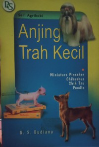 Anjing Trah Kecil : miniature Pinscher, chihuahua,Shih Tzu, poodle