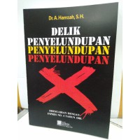 Delik Penyelundupan